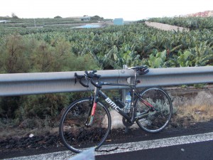 Cykling igennem bananplantager på Tenerife