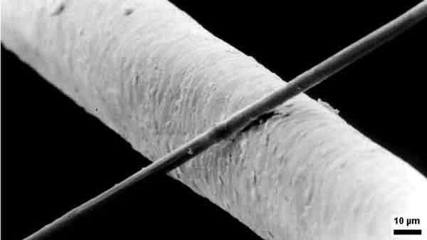 Billedet viser en kulfibertråd iforhold til et menneskehår. Kulfibertråden er den mindste og er 0.005mm i diameter.
